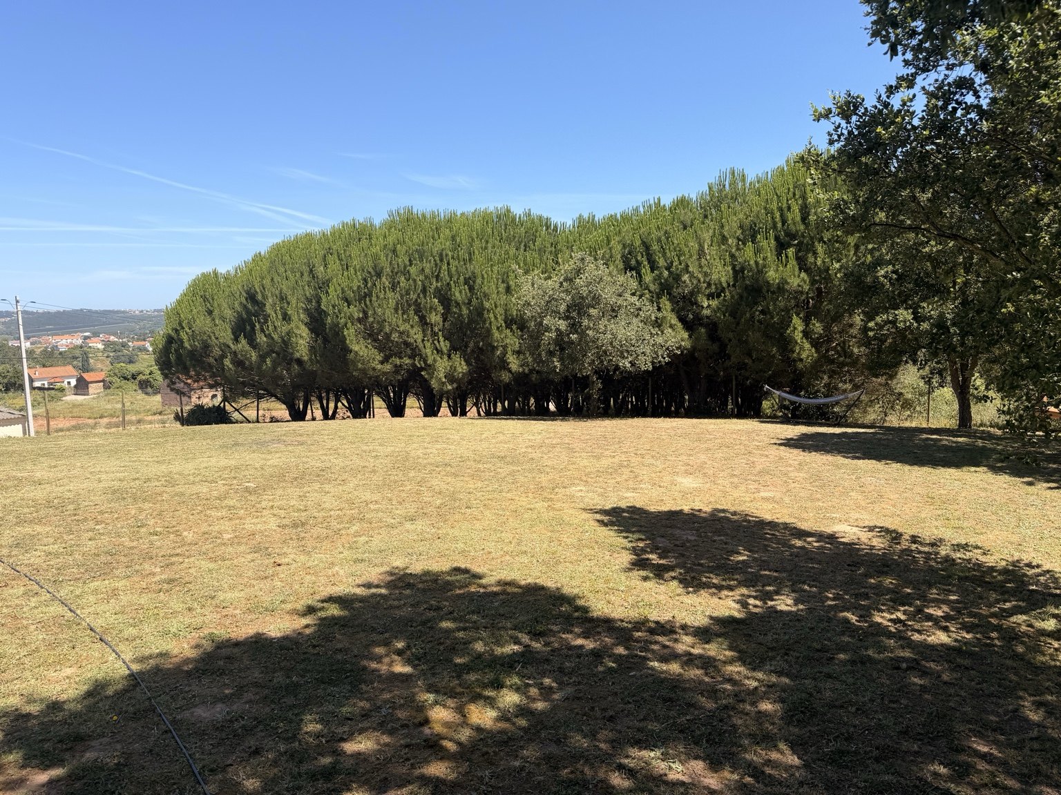 Woodland and open space at the retreat project